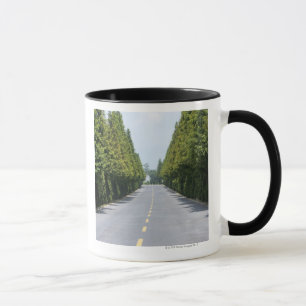 Mug Parc national des Etats-Unis, Yellowstone, route