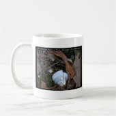 Mug Parc national des sources chaudes, AR - Cadeaux or (Gauche)