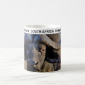 Mug Parc national Kruger Cape Buffalo (Centre)