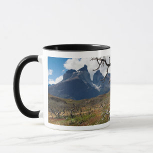 Mug Parc national Torres del Paine, arbres endommagés
