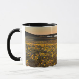 Mug Parterre de fleurs sauvages de Balsamroot à feuill