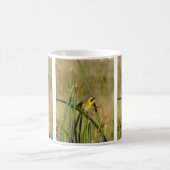 Mug Paruline masquée (Centre)