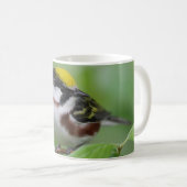Mug Paruline ornée de châtaignes (Devant droit)