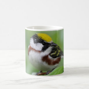 Mug Paruline ornée de châtaignes