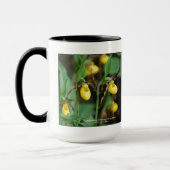 Mug Parviflorum de Cypripedium, dame-pantoufle jaune (Gauche)