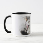 Mug Patte de nettoyage de chat (Gauche)