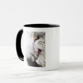 Mug Patte de nettoyage de chat, plan rapproché (Devant gauche)