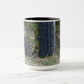 Mug Pâturage Ours noir sauvage Photo Faune (Centre)