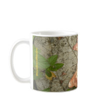 Pause café avec WoodlandRealm