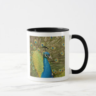 Mug Pavanement de paon