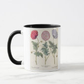 Mug Pavots : rubicundis multiplex des albumoris (Gauche)