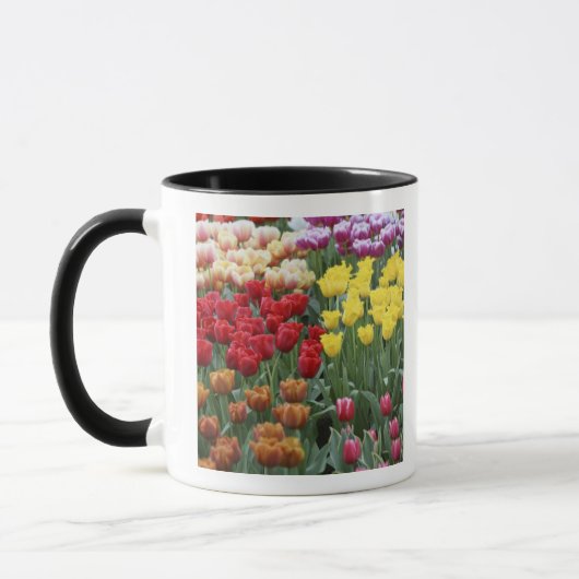 Mug Pays-Bas, Keukenhoff Gardens, tulipes. (Gauche)