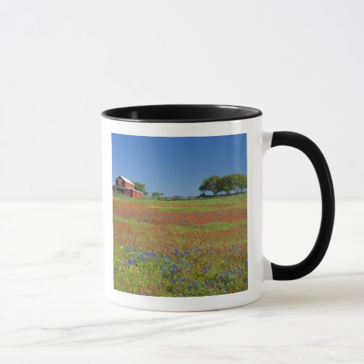 Mug Pays de colline du Texas, le Texas, pinceau du (Droite)