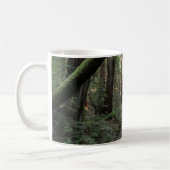 Mug Paysage de la forêt de Muir Woods Stream (Gauche)