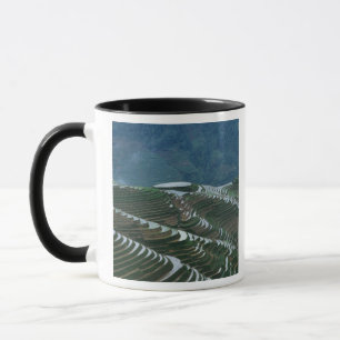 Mug Paysage de rizières en terrasses dans la montagne,
