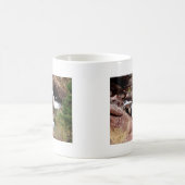 Mug Paysage du Colorado (Centre)