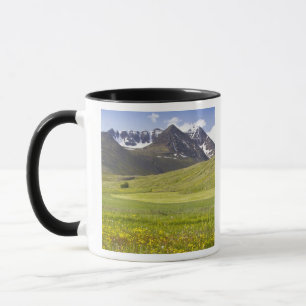 Mug Paysage panoramique de la vallée de Svarfadardalur
