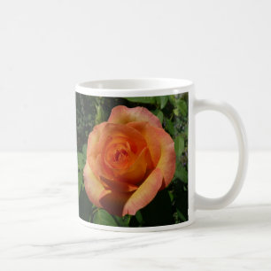 Mug Peach Rose Orange Floral Photographie