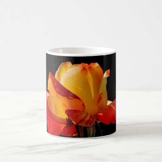 Mug Peachy Orange Rose (Centre)