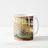 Mug Peacock, Musique (Devant droit)