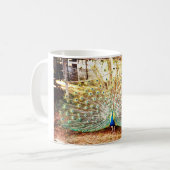 Mug Peacock, Musique (Devant gauche)