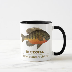 Mug Pêche à la Breve de Bluegill