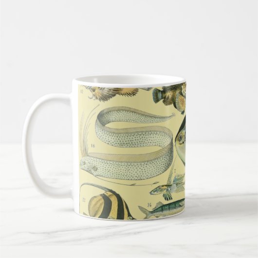 Mug Pêche scientifique vintage (Gauche)