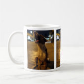 Mug Pee Mai... Soi Dog, Thaïlande (Gauche)