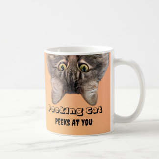 Mug Peeking Cat Peeks At You, Maine Coon cat photo