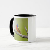 Mug Peint Bunting Passerina ciris) chant masculin (Devant gauche)