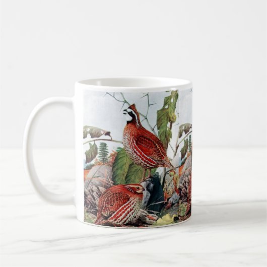 Mug Peinture Vintage d'oiseaux de caille Bobwhite (Gauche)