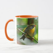 Mug Pekin de couleur Robin Songbird sur Branche (Gauche)