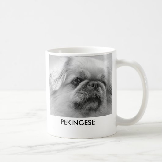 Mug Pekingese, adorable têtu et avec b majestueux… (Droite)