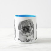 Mug Pekingese Puppy (Centre)