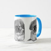 Mug Pekingese Puppy (Devant droit)