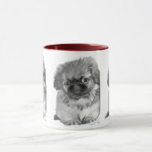 Mug Pekingese Puppy (Centre)