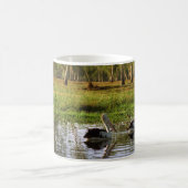 Mug Pélicans australiens, Parc national de Kakadu, NT (Centre)