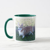 Mug Pembroke Welsh Corgi (version 2) (Gauche)
