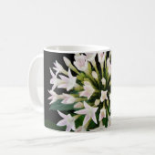 Mug Pentas blancs (Devant gauche)