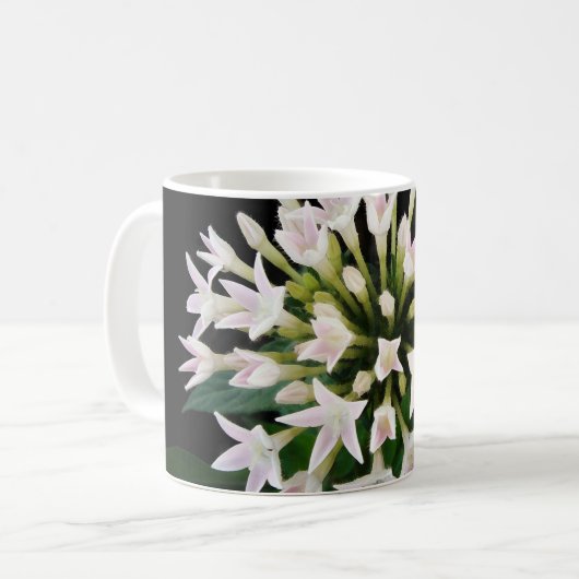 Mug Pentas blancs (Devant gauche)