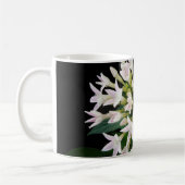 Mug Pentas blancs (Gauche)