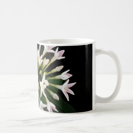 Mug Pentas blancs (Droite)