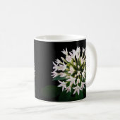 Mug Pentas blancs (Devant droit)