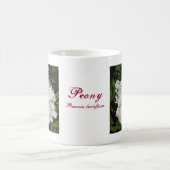 Mug peony gros plan Paeonia lactiflora (Centre)
