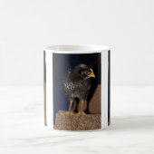 Mug Pep (Centre)