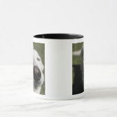 Mug Père Noël Fe, Nouveau-Mexique (Centre)