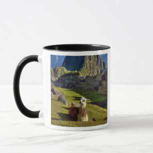 Mug Pérou, Andes, Montagnes des Andes, Machu Picchu
