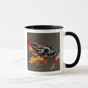Mug Pérou, Forêt tropicale péruvienne. Grenouille flèc