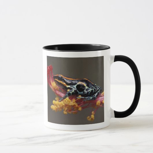 Mug Pérou, Forêt tropicale péruvienne. Grenouille flèc (Droite)
