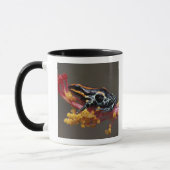 Mug Pérou, Forêt tropicale péruvienne. Grenouille flèc (Gauche)